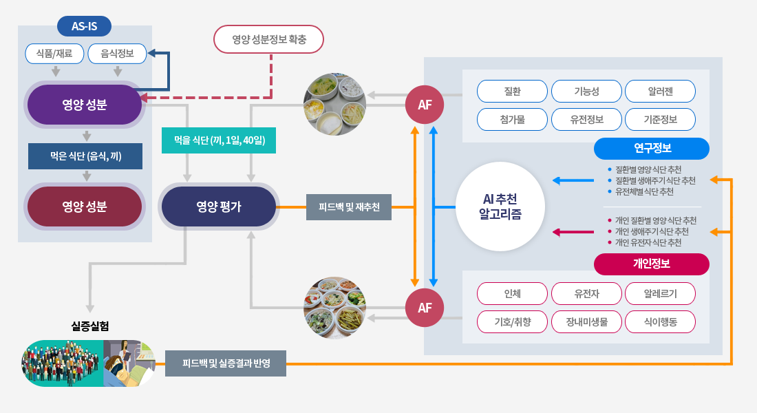 음식영양평가 및 맞춤형 AI 추천 알고리즘